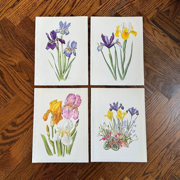 Vintage French Flower Prints Set 1 - Picture 1 of 5
